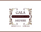 Galei Excelentei in Mediere editia a II-a, 15 mai 2014