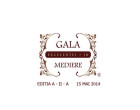 Galei Excelentei in Mediere, editia a-II-a – comunicat de presa
